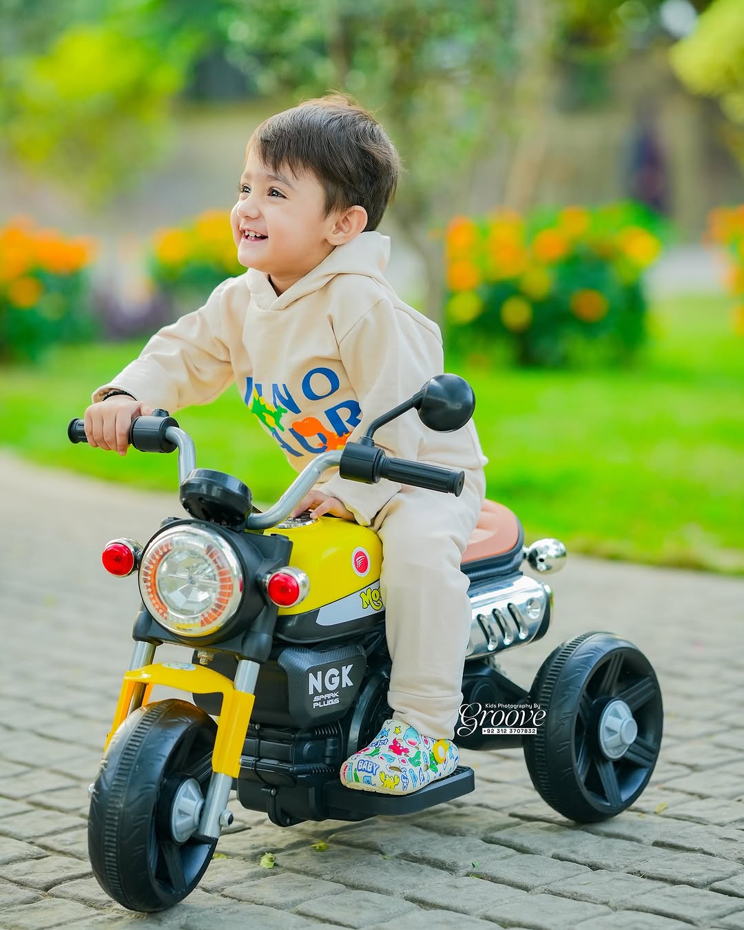 3 Wheel Roadstar Bike-AQ-936