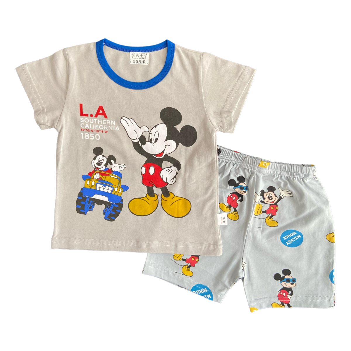 Disney Summer Short + Shirt Set