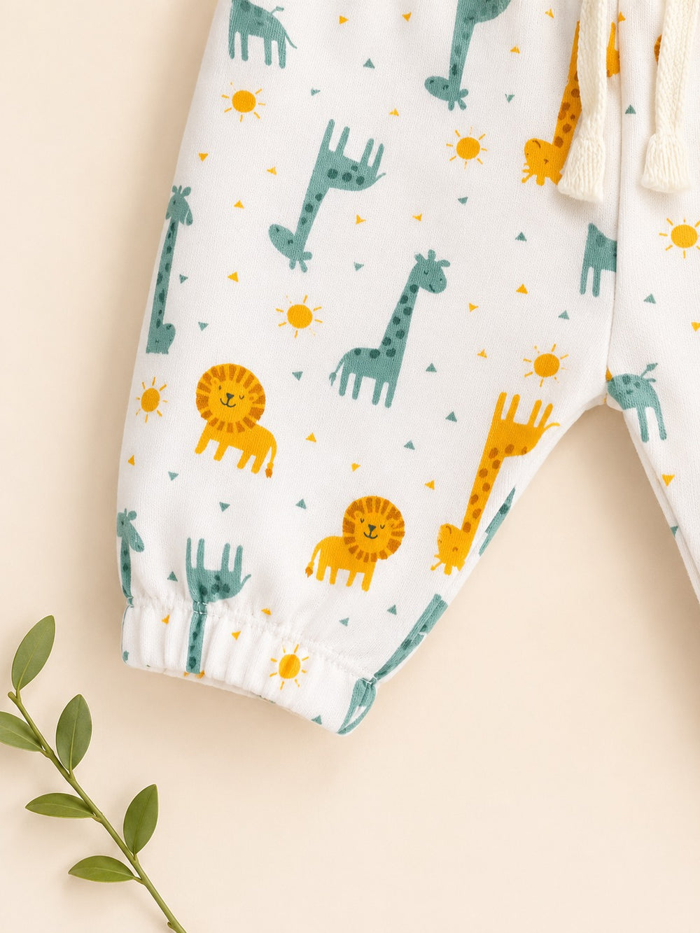 Baby Boy 4 season 2 piece set (0-6M)