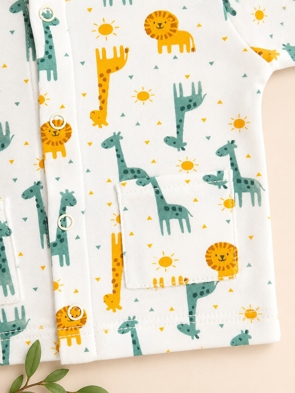 Baby Boy 4 season 2 piece set (0-6M)