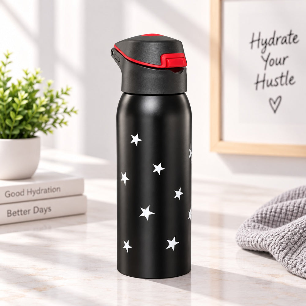 Imported Stainless Steel Travel Bottle - 350ML