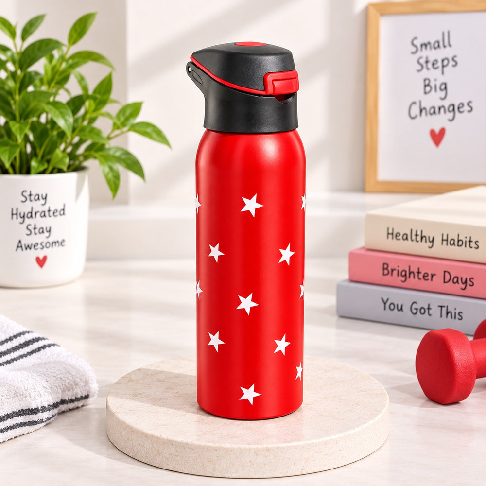 Imported Stainless Steel Travel Bottle - 350ML