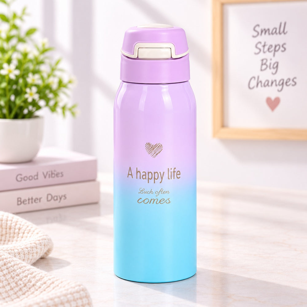 Imported Stainless Steel Travel Bottle - 350ML