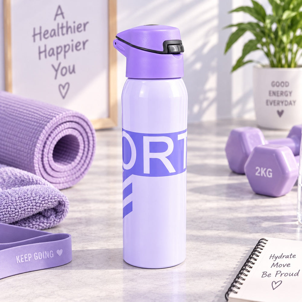 Imported Stainless Steel Travel Bottle - 500ML
