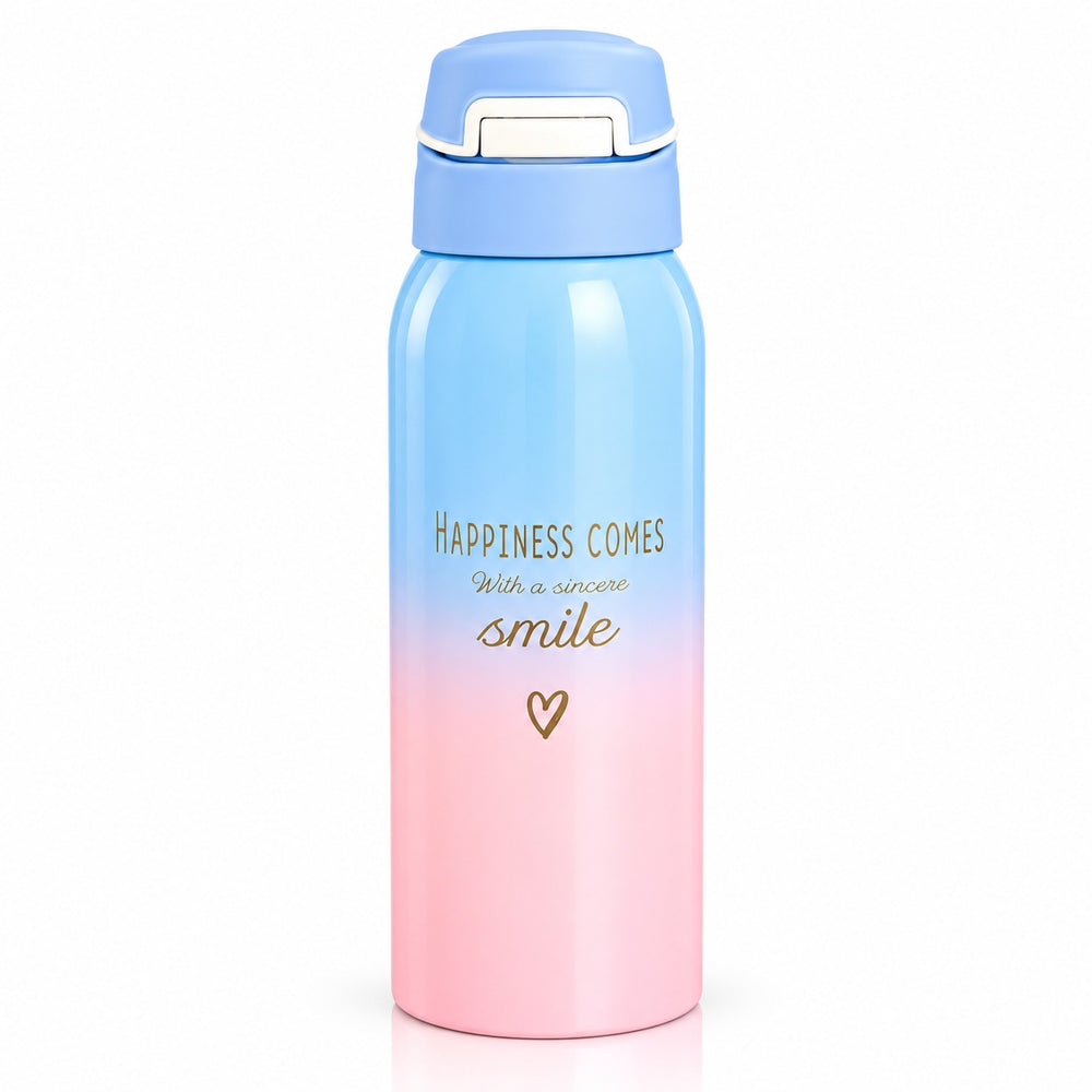 Imported Stainless Steel Travel Bottle - 350ML