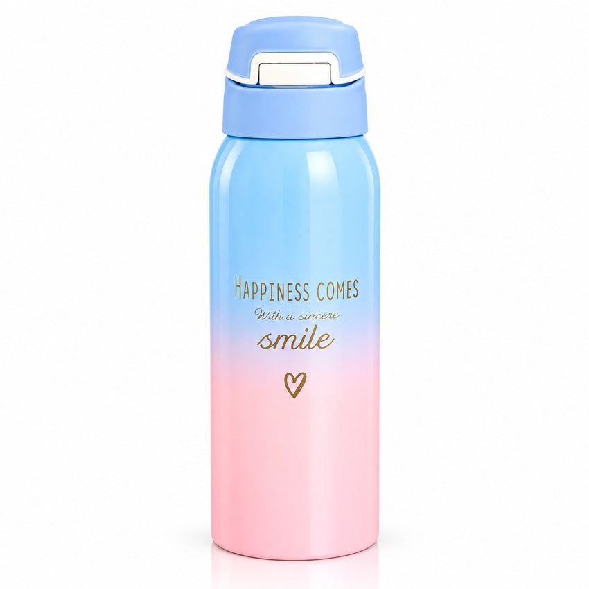 Imported Stainless Steel Travel Bottle - 350ML