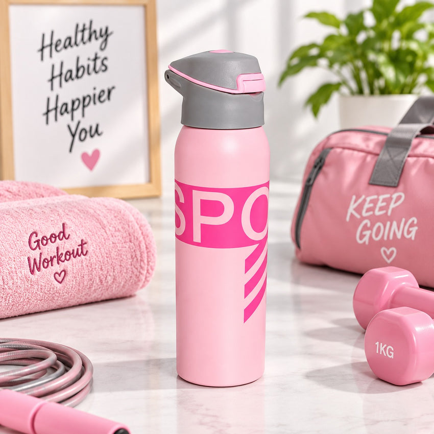 Imported Stainless Steel Travel Bottle - 500ML