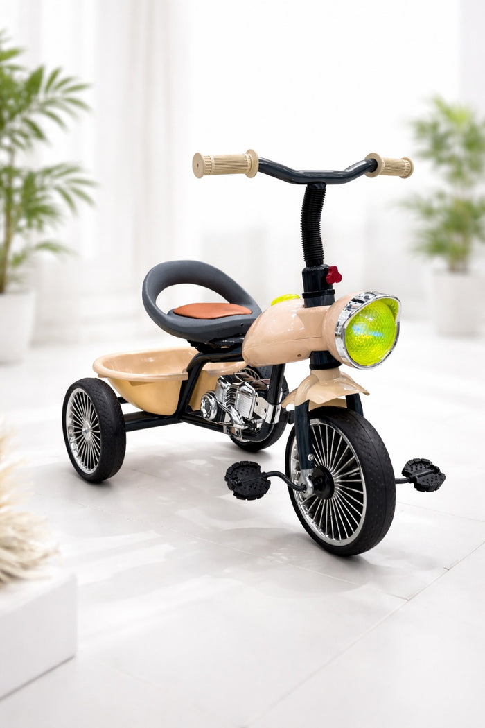 Imported Bike Theme Baby Tricycle - T012