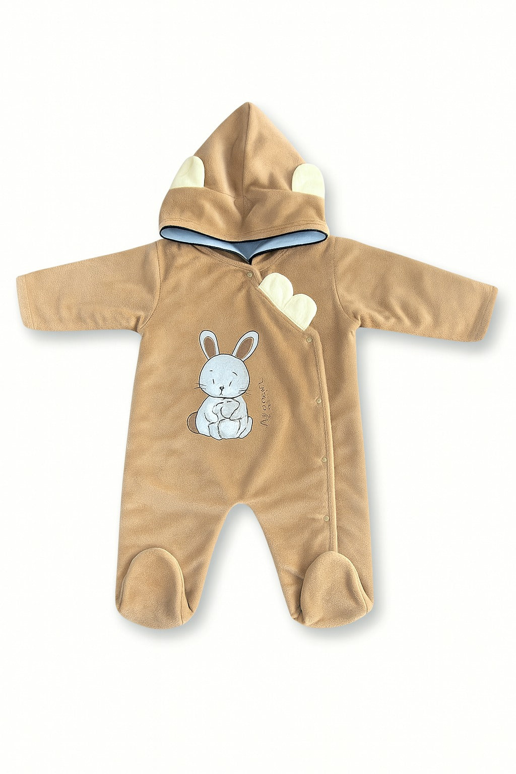 RL025-Winter Dress (4-8M)