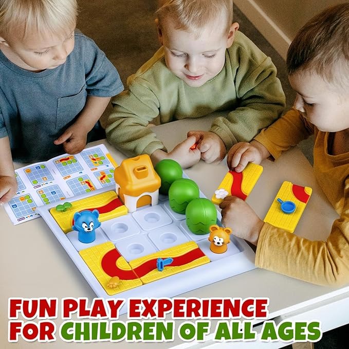 Brain Teasers Puzzles Toy - ZH101