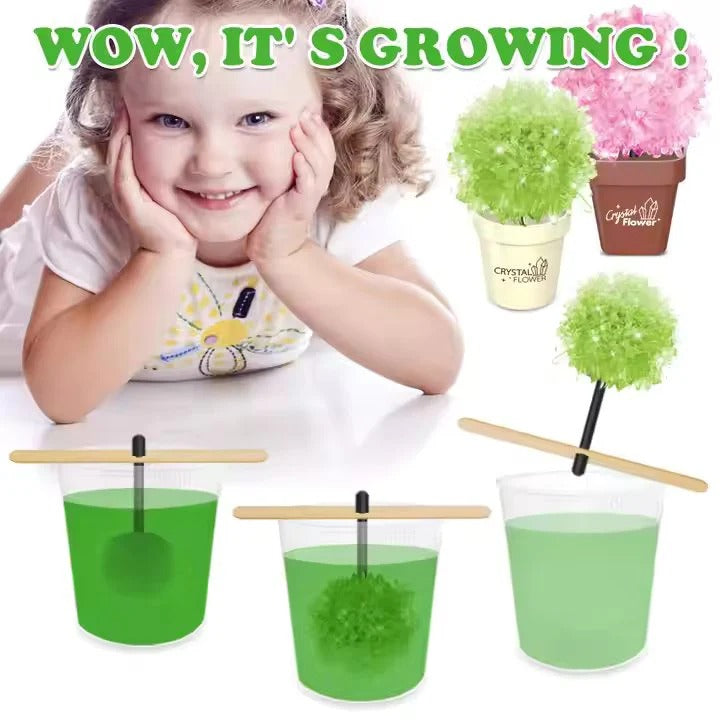 DIY Crystal Plant Set-683