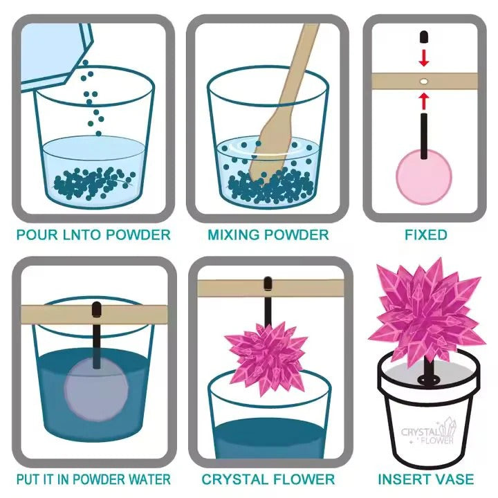 DIY Crystal Plant Set-683