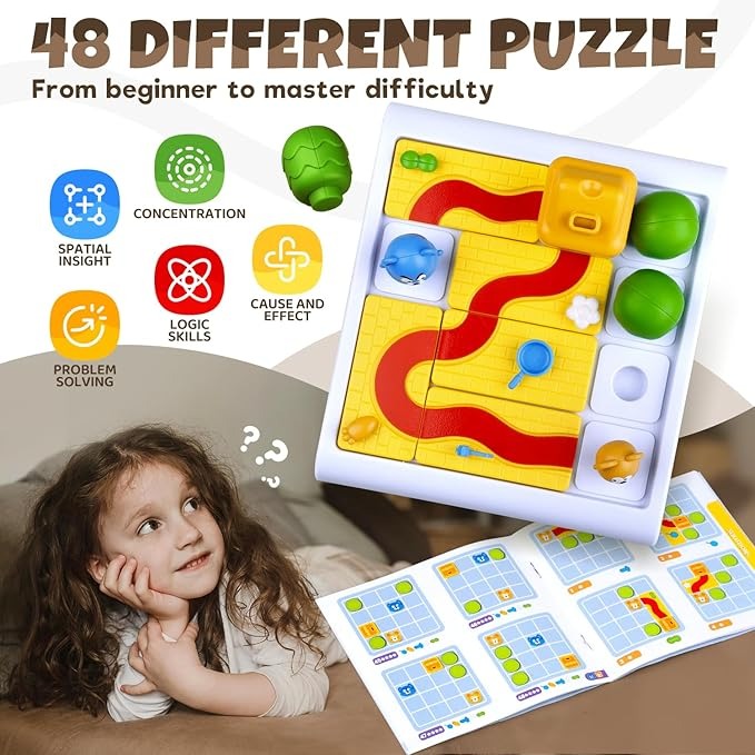 Brain Teasers Puzzles Toy - ZH101
