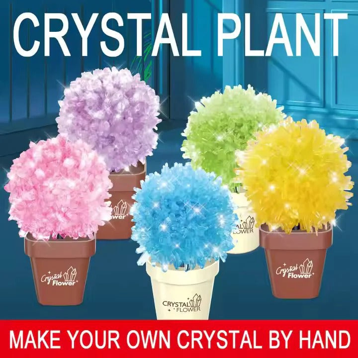 DIY Crystal Plant Set-683