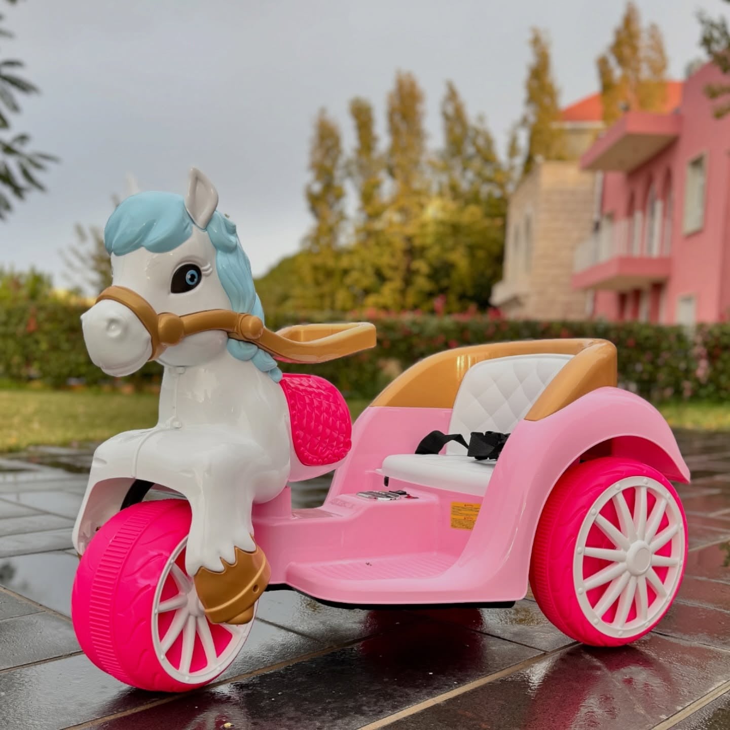 Cute Baby Horse Ride on Bike-BZ-D602