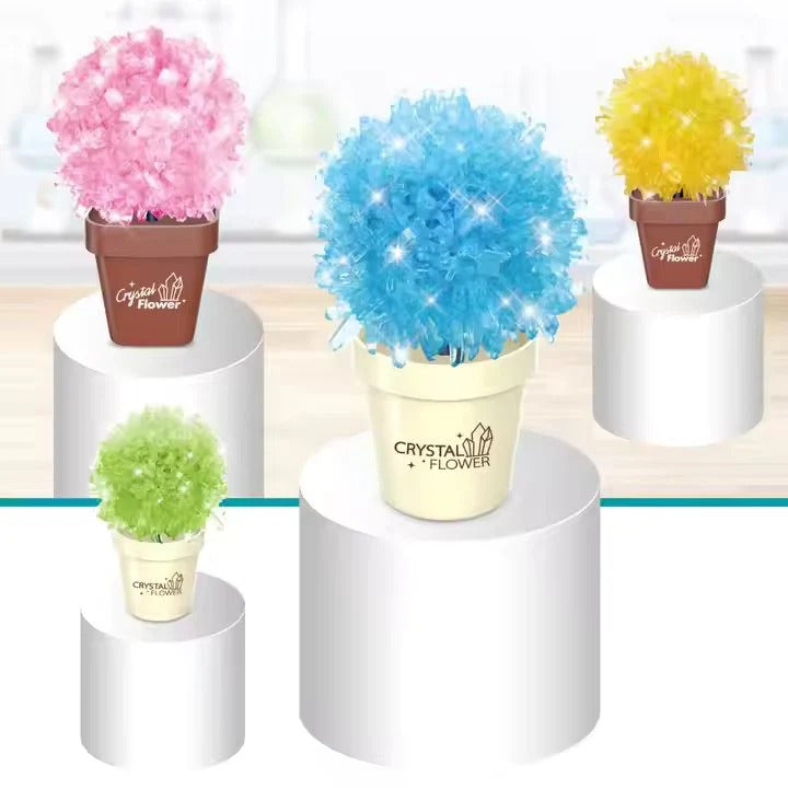 DIY Crystal Plant Set-683