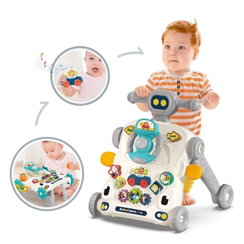 Imported Multifunctional Activity walker - 6042