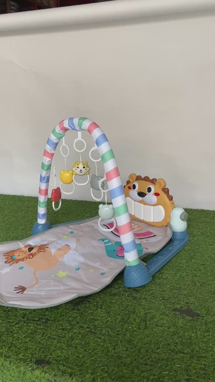 Imported Premium Piano Fitness Gym -  7001