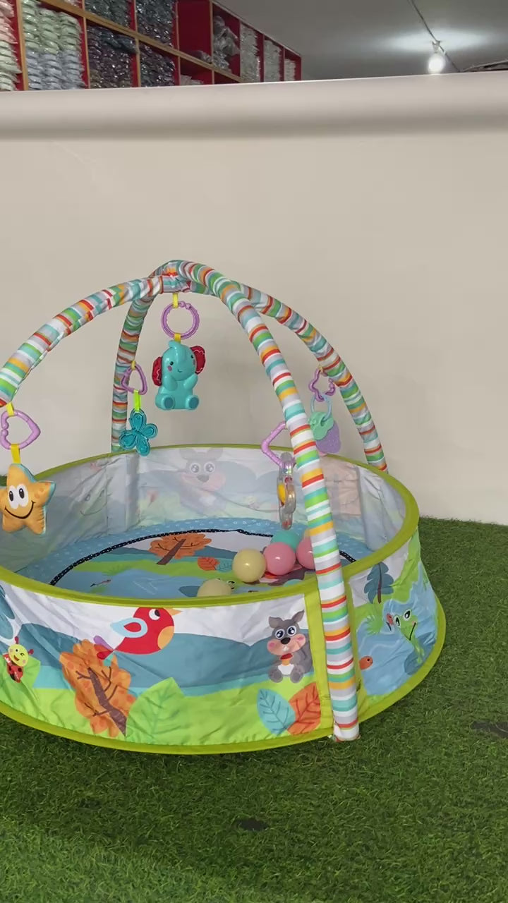 Imported Multifunctional Play Gym - 73152