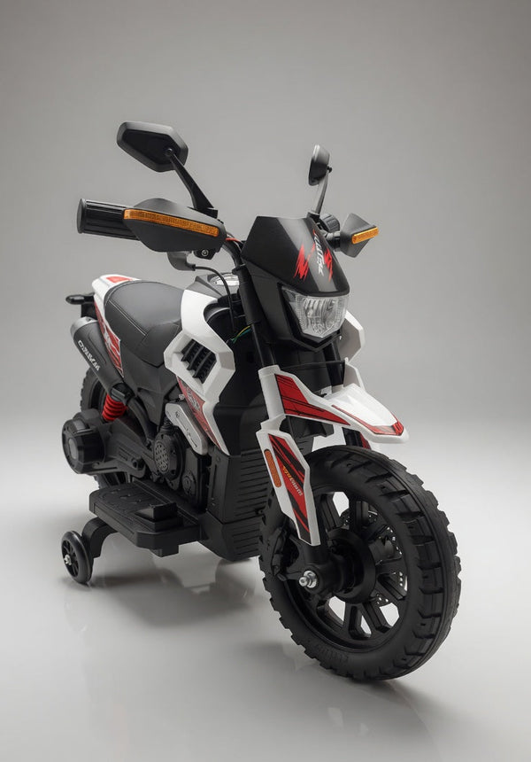 Imported Electric Bike With Hand Race - DLS09