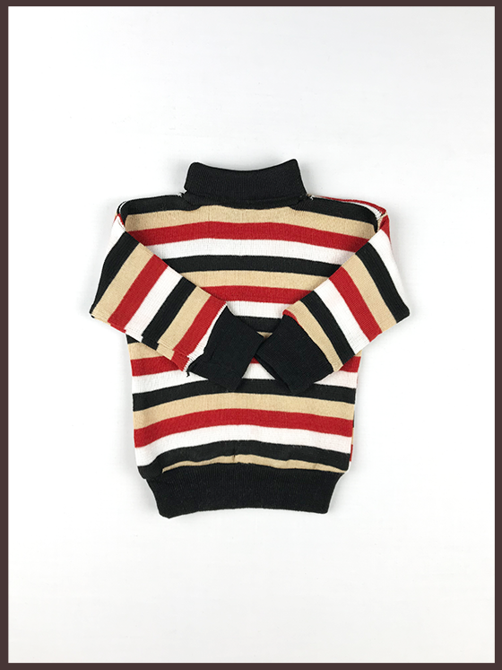 mushroom-turtle-neck